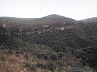 Coll d'Alforja (2)