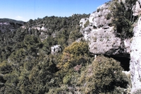 Cova del Buldó (1)