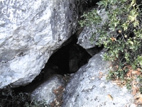 Cova de l'Enric (1)