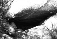 Cova de l'Avellana (2)