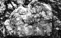 Roca amb Inscultures del Llobinar (2)