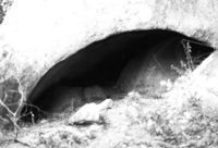 Cova d'En Sardineta (3)