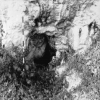 Cova Sobre la Foradada (2)