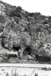 Cova Gran de la Figuera (2)