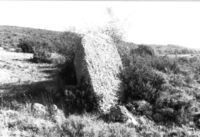 Menhir del Serrat dels Rebolls (2)