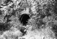 Cova dels Muricecs (2)