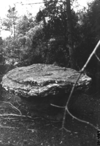Pedra del Gili (1)