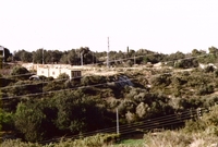Barranc de la Mina (1)
