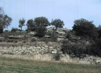 Necròpolis de Cal Cardenal (1)