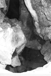 Cova de Can Montmany (4)