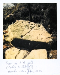 Pedra amb Inscultures de la Creu de l'Aragall (4)