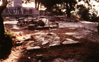 Necròpolis del Coll del Moro. Sector Calars (4)