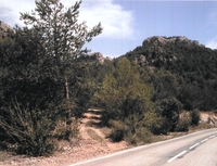 Barranc de la Cova (1)