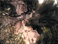 Abric de la Serra de la Mussara (1)