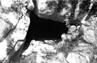Cova de Can Rosselló (2)
