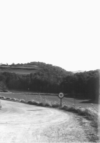 Barranc de la Carretera de Savallà (2)