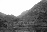 Barranc de la Carbonera (2)