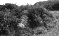 Pedra de Can Roquet (2)
