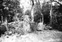 Menhir d'En Llach (1)