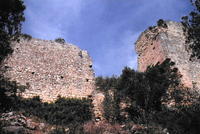 Castell de Montoliu (1)