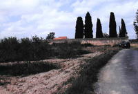 Cementiri de Renau (1)