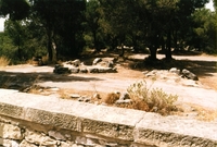 Necròpolis del Coll del Moro. Sector Calars (3)