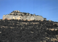Castell de Tarabau (1)