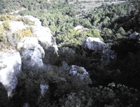 Cova Alta (1)