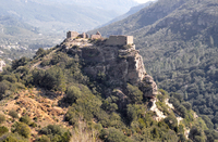Castell de Carles