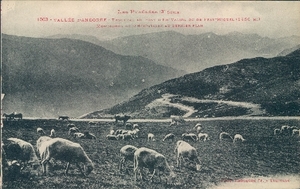 Vallée d'Andorre : toupeau au Pont d'en-Valira ou de Fray-Miquel (2450 m.) : montagnes de l'Hospitalet au dernier plan
