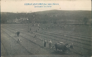 Granja Salesiana (San Isidro) Gerona : sembrando un alfarfar