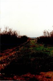 Memoria final de la prospección arqueológica de la variante del Río Francolí del Oleoducto Tarragona-Lérida-Zaragoza