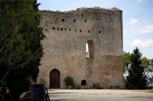Castell de la Tossa de Montbui (3)
