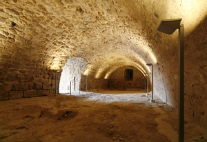 Castell de Miravet (15)
