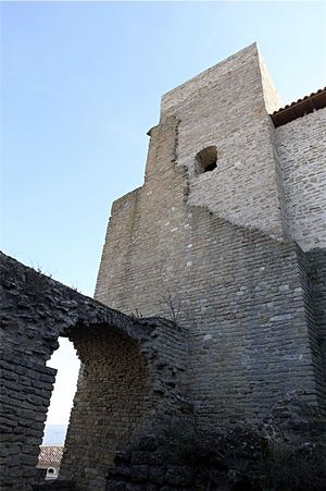 Castell i la Col·legiata de Sant Pere (36)