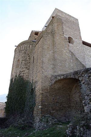 Castell i la Col·legiata de Sant Pere (37)