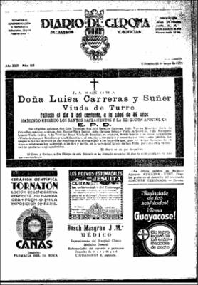 Diario de Gerona de avisos y noticias Núm. 113