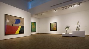 Fundació Miró (91)