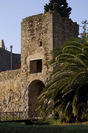 Muralles de Castelló d'Empúries (15)
