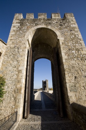 Pont de Besalú (4)
