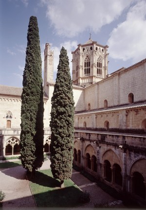 Monestir de Santa Maria de Poblet (16)