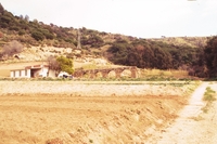 Aqüeducte de Pineda (8)