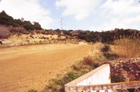 Aqüeducte de Pineda (2)