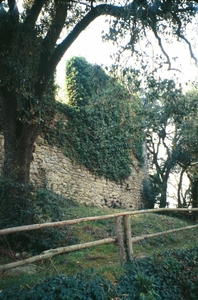 Castell de Castellterçol (9)