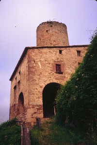 Castell de Fals (28)