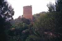 Castell de Fals (20)