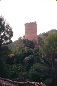 Castell de Fals (15)