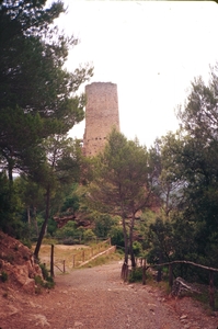 Castell de Fals (14)
