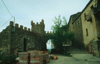 Castell de l'Aranyó (3)