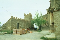 Castell de l'Aranyó (2)